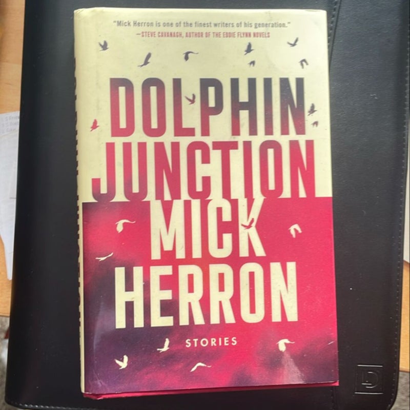 Dolphin Junction: Stories