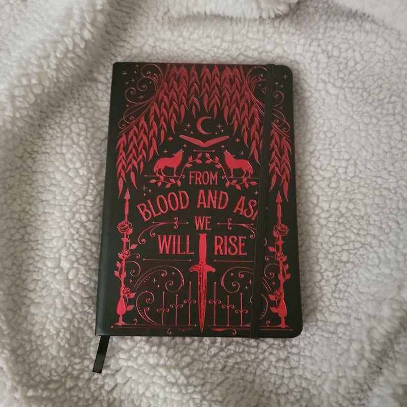 From Blood and Ash Book Journal 