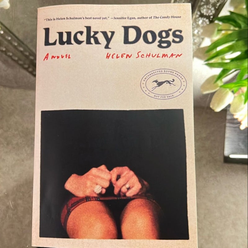 Lucky Dogs