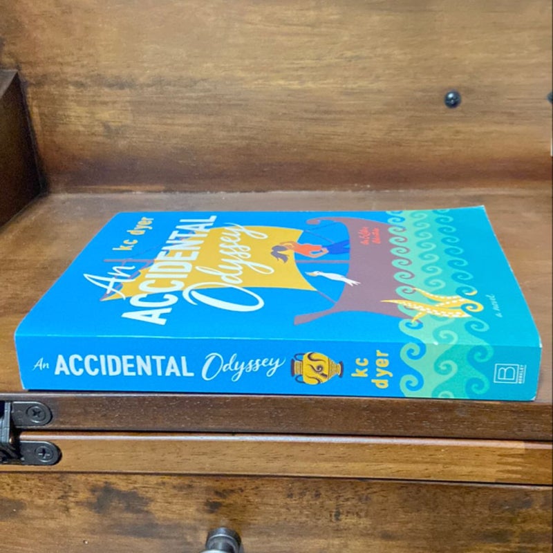 An Accidental Odyssey
