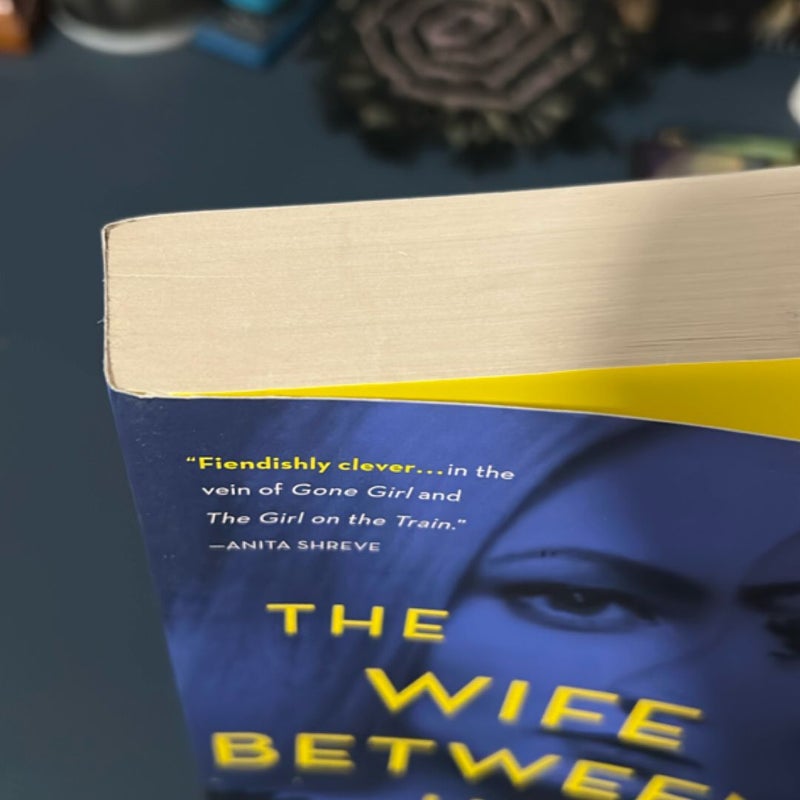 The Wife Between Us