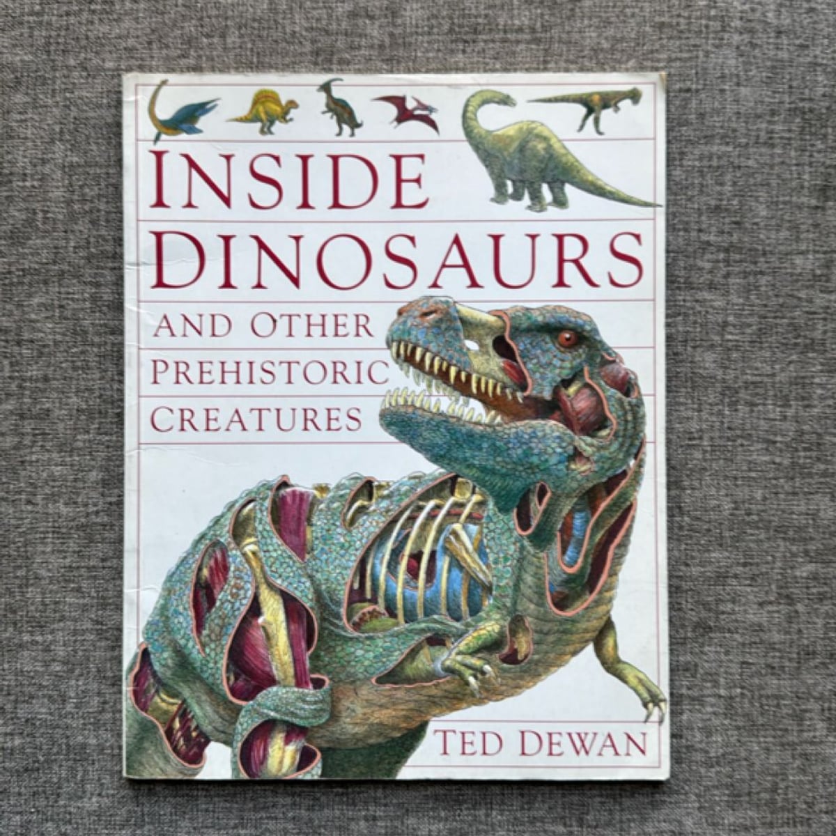 Inside Dinosaurs and Other Prehistoric Creatures by Steve Parker