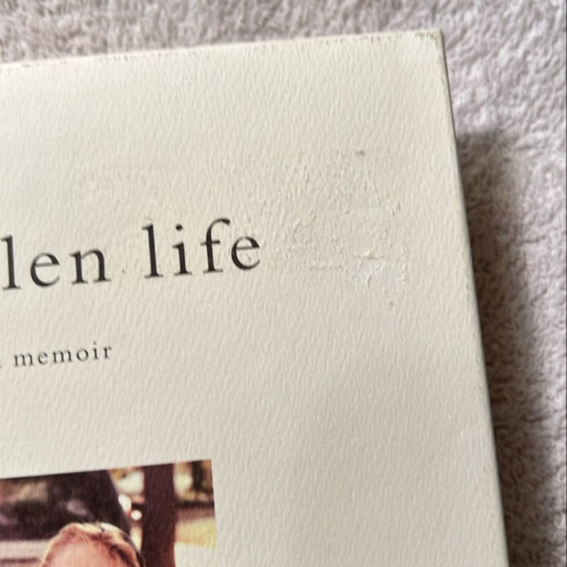 A Stolen Life