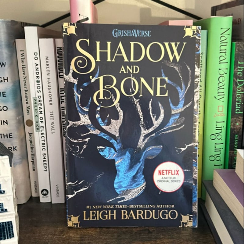 Shadow and Bone