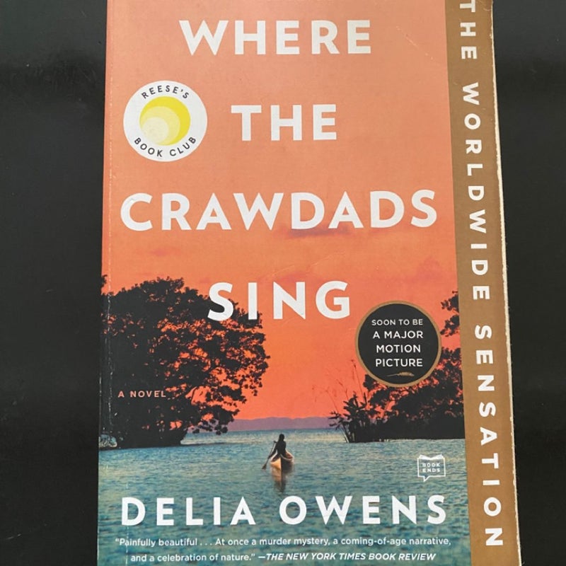 Where the Crawdads Sing