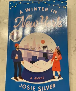 A Winter in New York