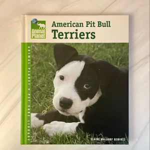 American Pit Bull Terriers