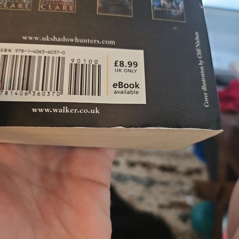 City of Heavenly Fire