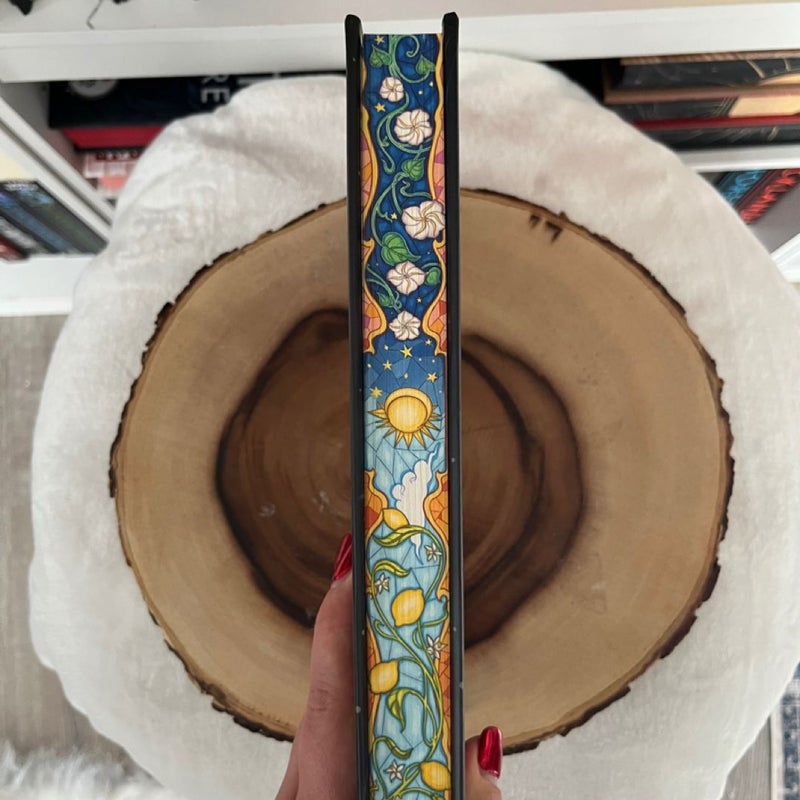 Bound By Gravity (Unplugged Book Box)
