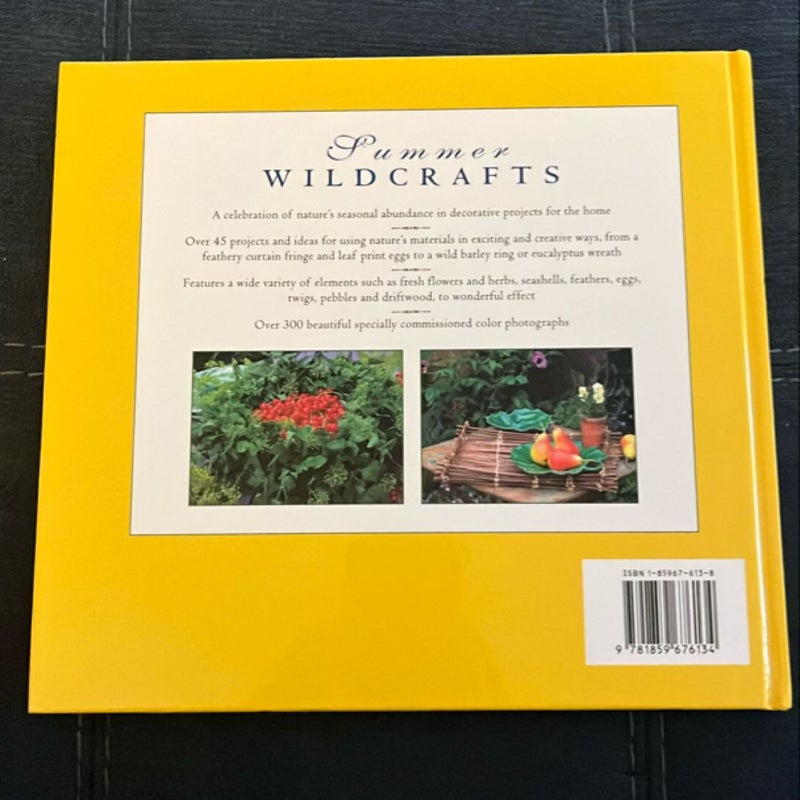 Summer Wild Crafts