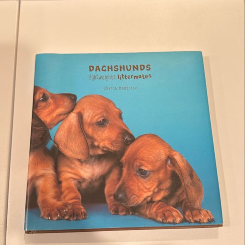 Dachshunds