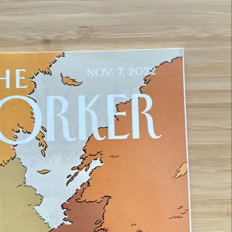 The New Yorker (bundle 14)