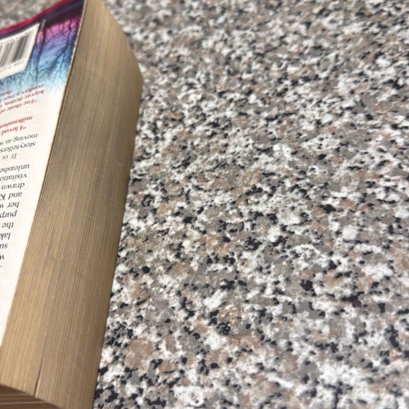 Bag of bones (1st edition)