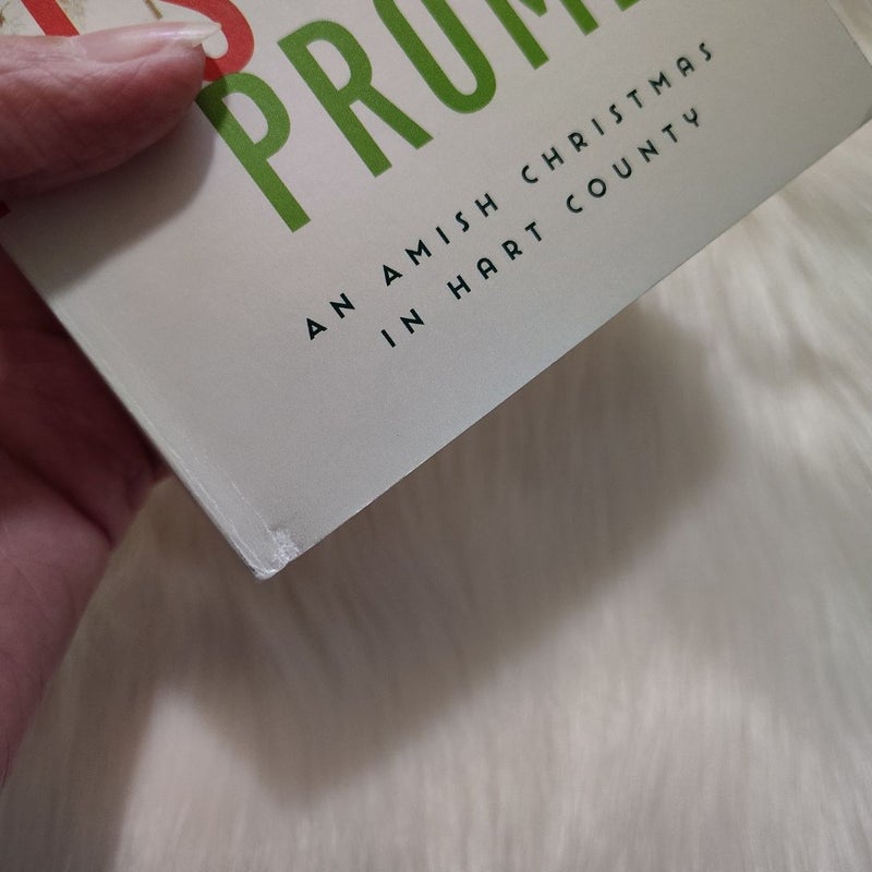 His Promise