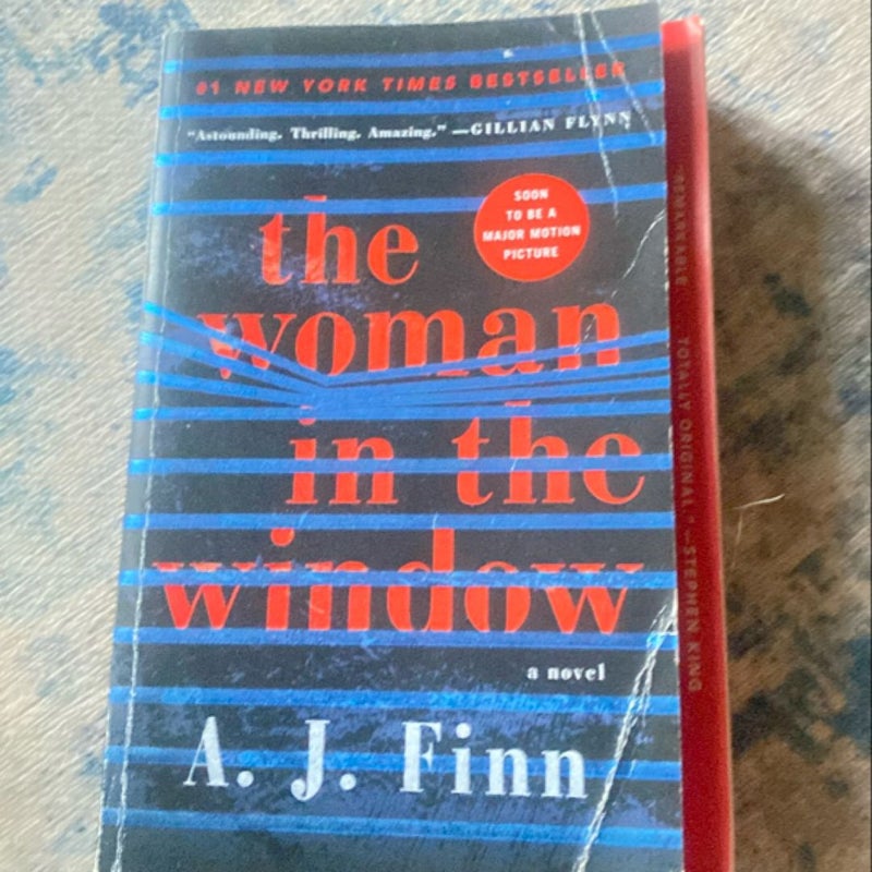 The Woman in the Window