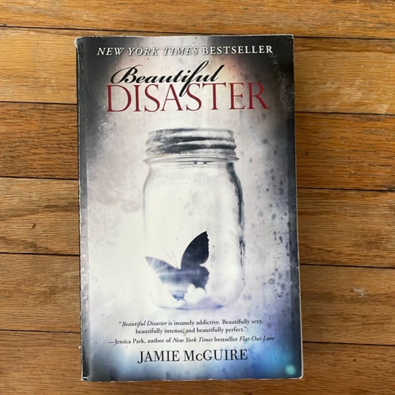 Beautiful Disaster