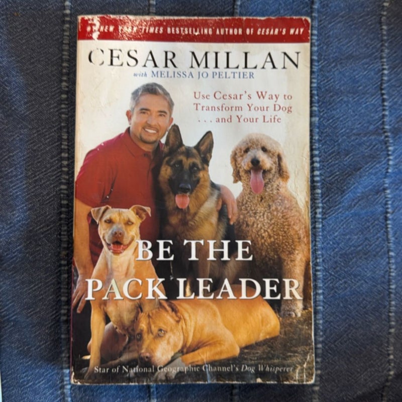 Be the Pack Leader