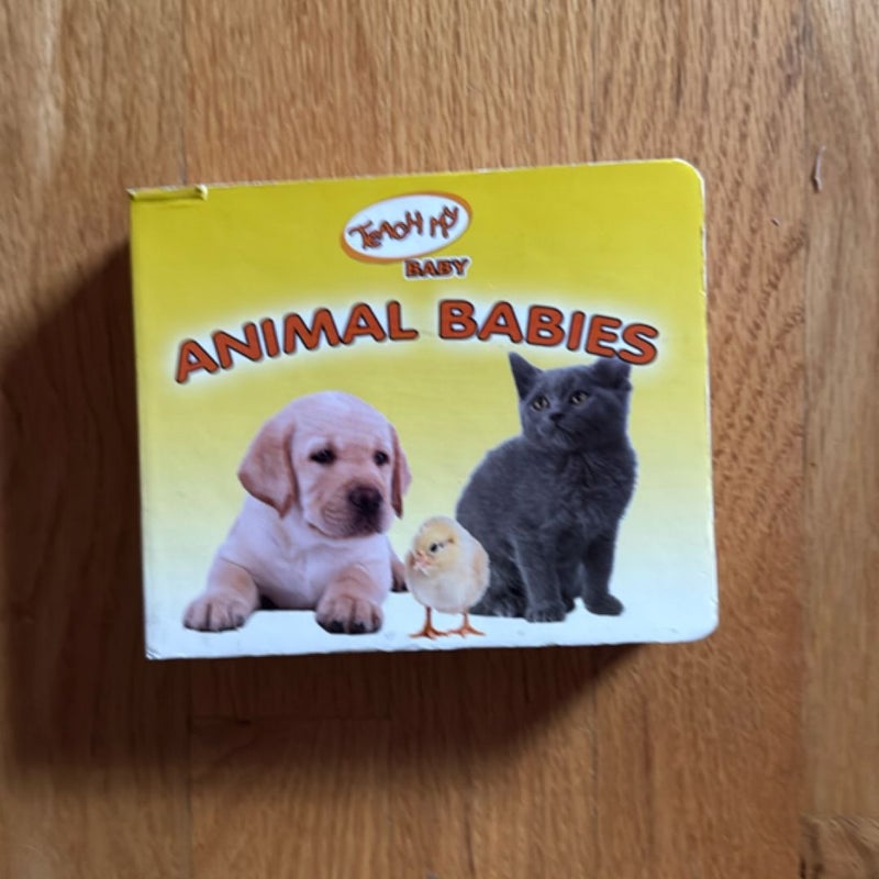 Animal Babies 
