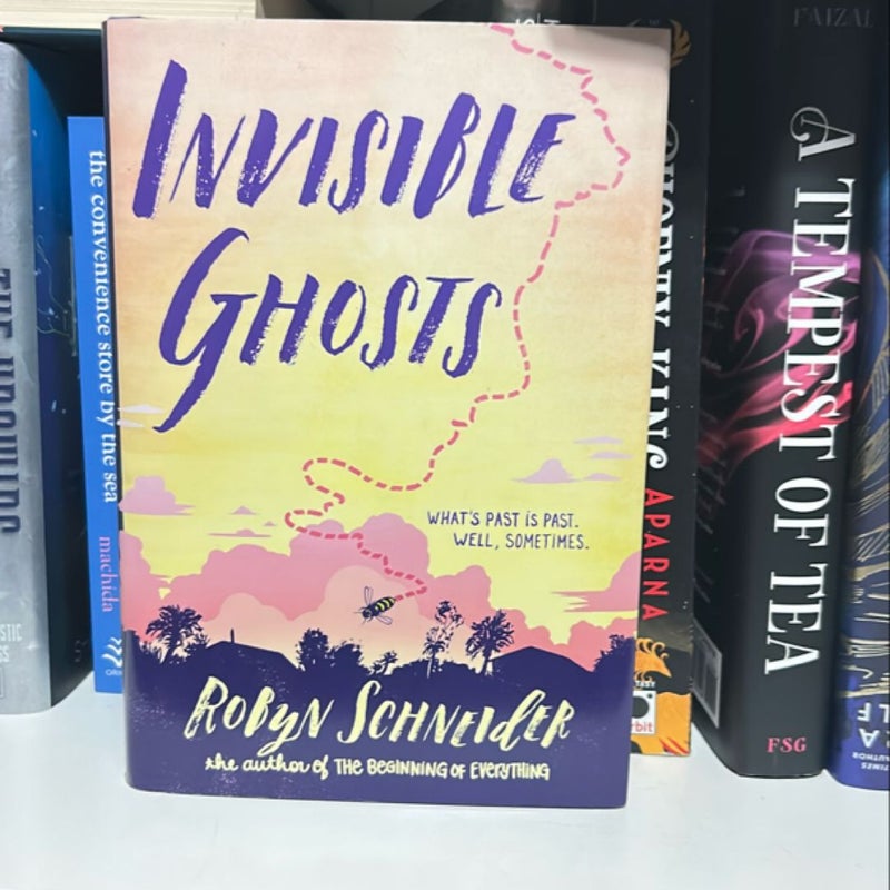 Invisible Ghosts