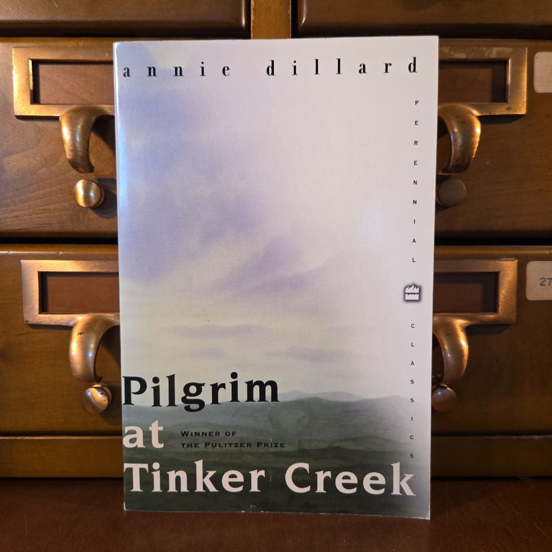 Pilgrim at Tinker Creek