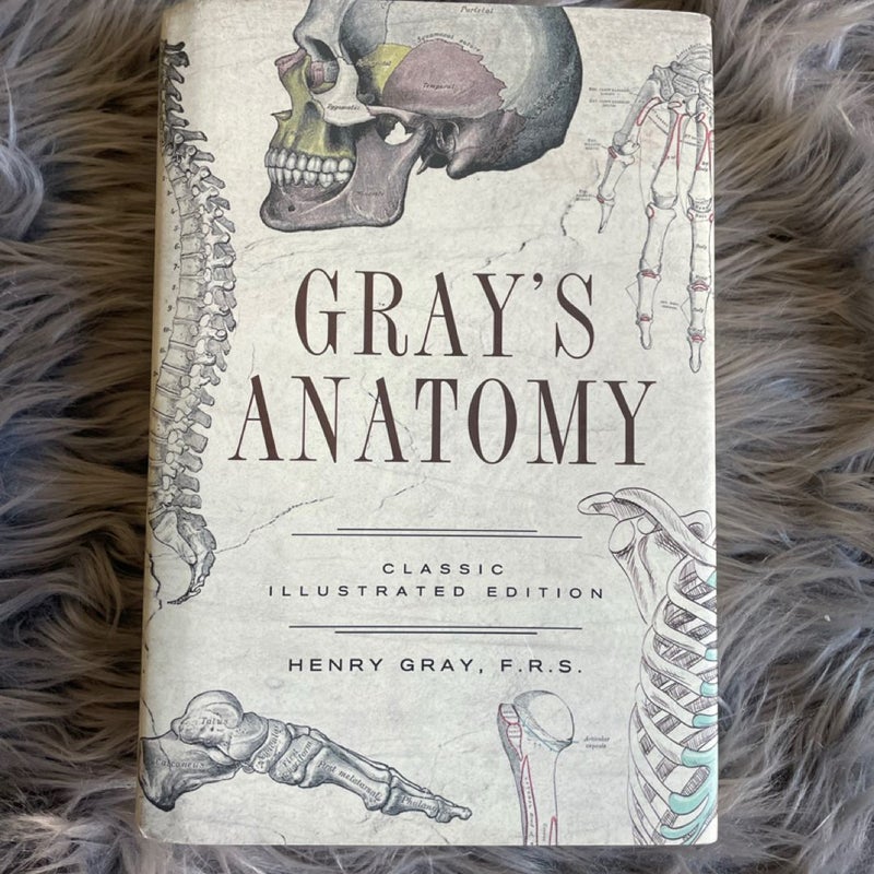 Gray's Anatomy
