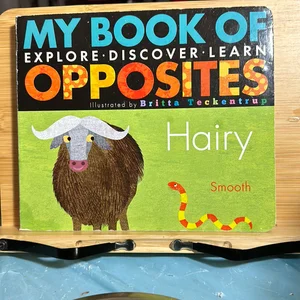 My Book of Opposites