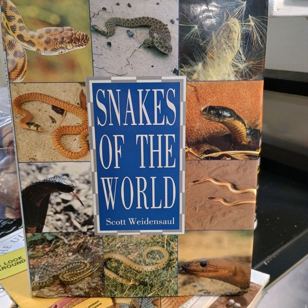 Snakes from Around the World