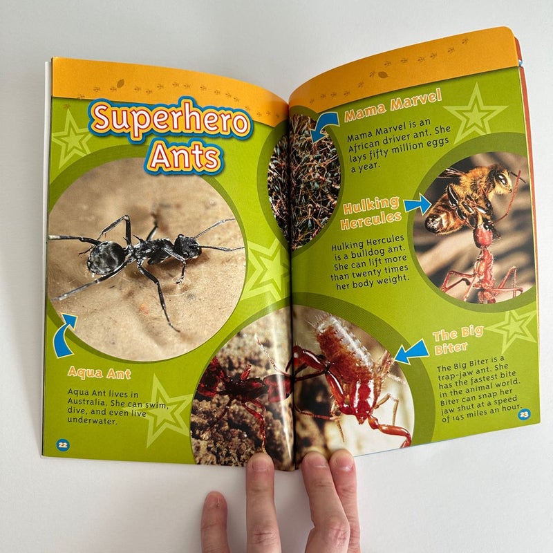 National Geographic Kids: Ants, Reader