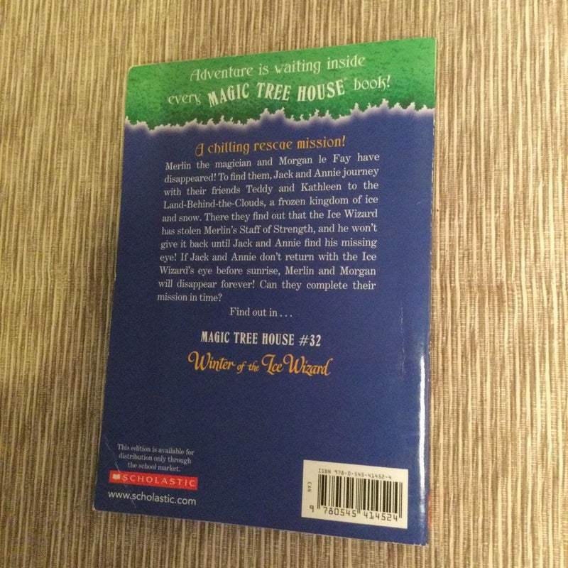 Magic Tree Merlin Mission Books: Leprechaun in Late Winter #43 &  Winter of the Ice Wizard #32 