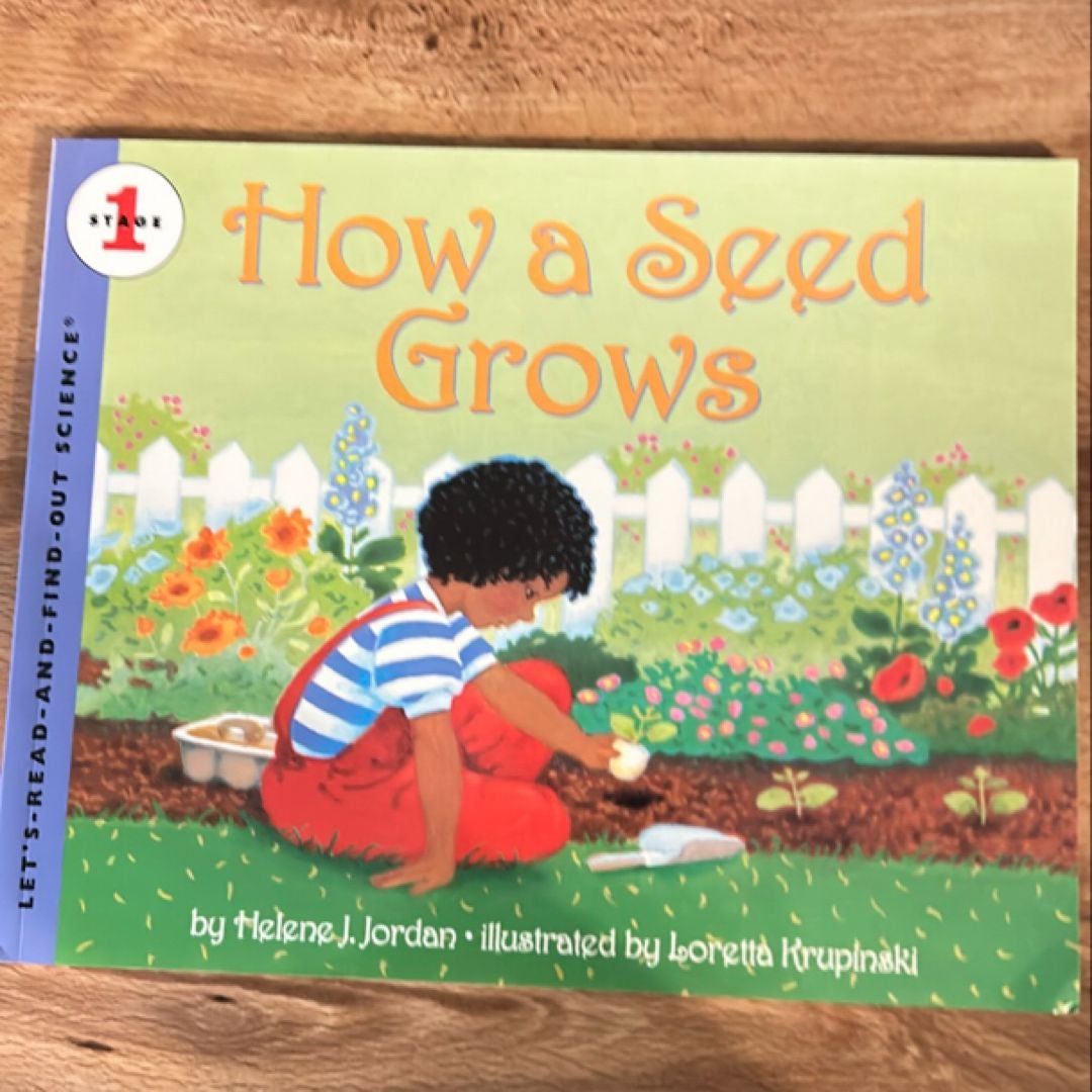 How a Seed Grows