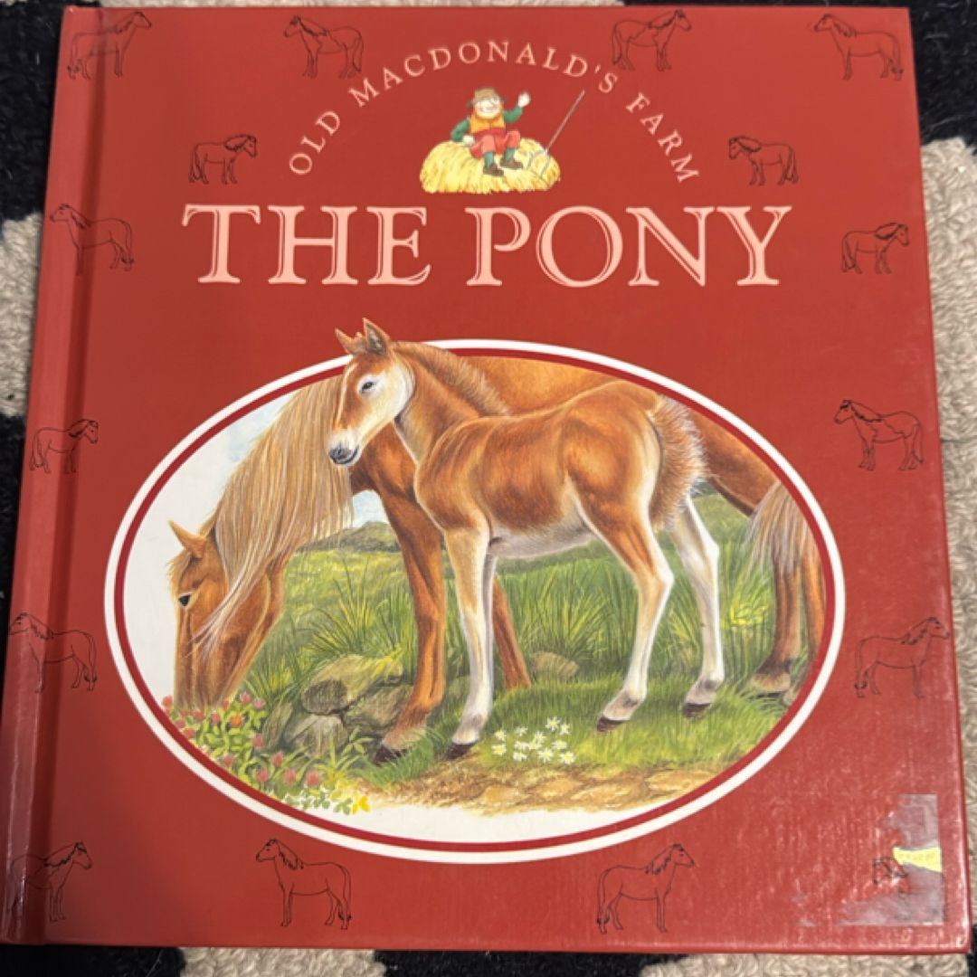The Pony