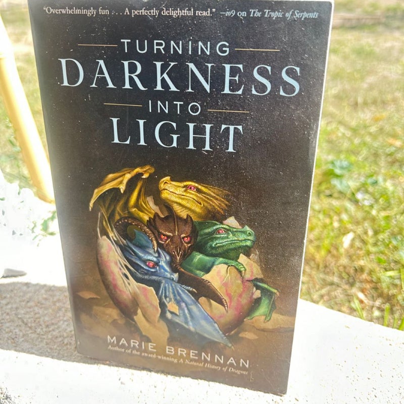 Turning Darkness into Light