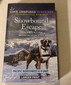 Snowbound Escape