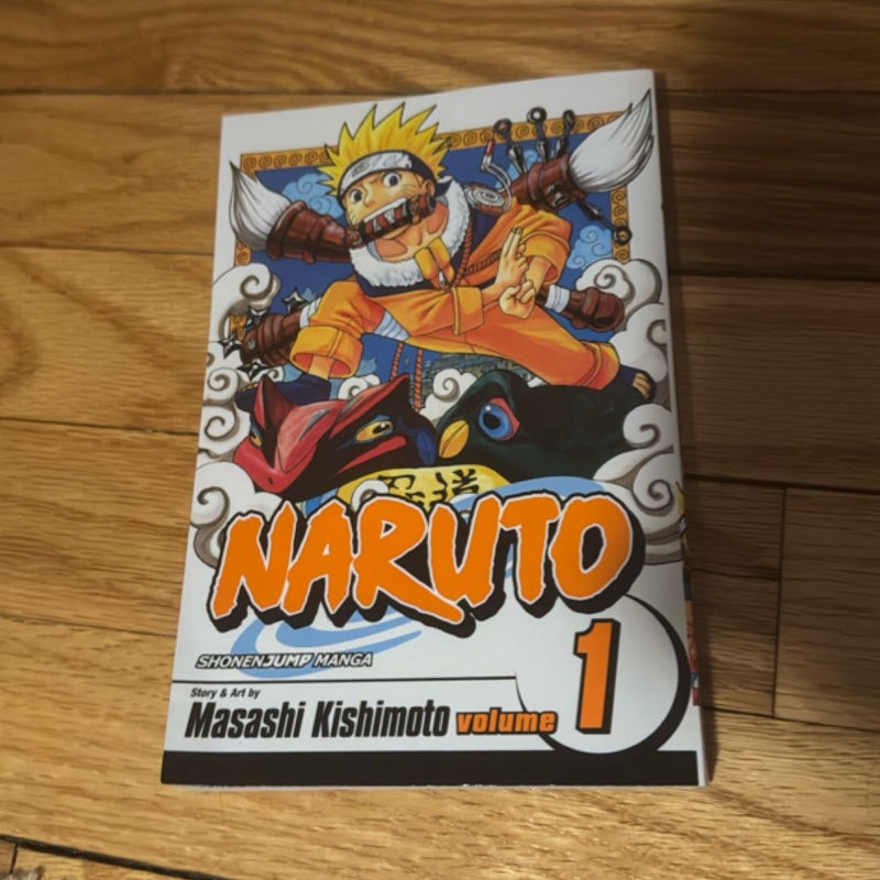 Naruto, Vol. 1