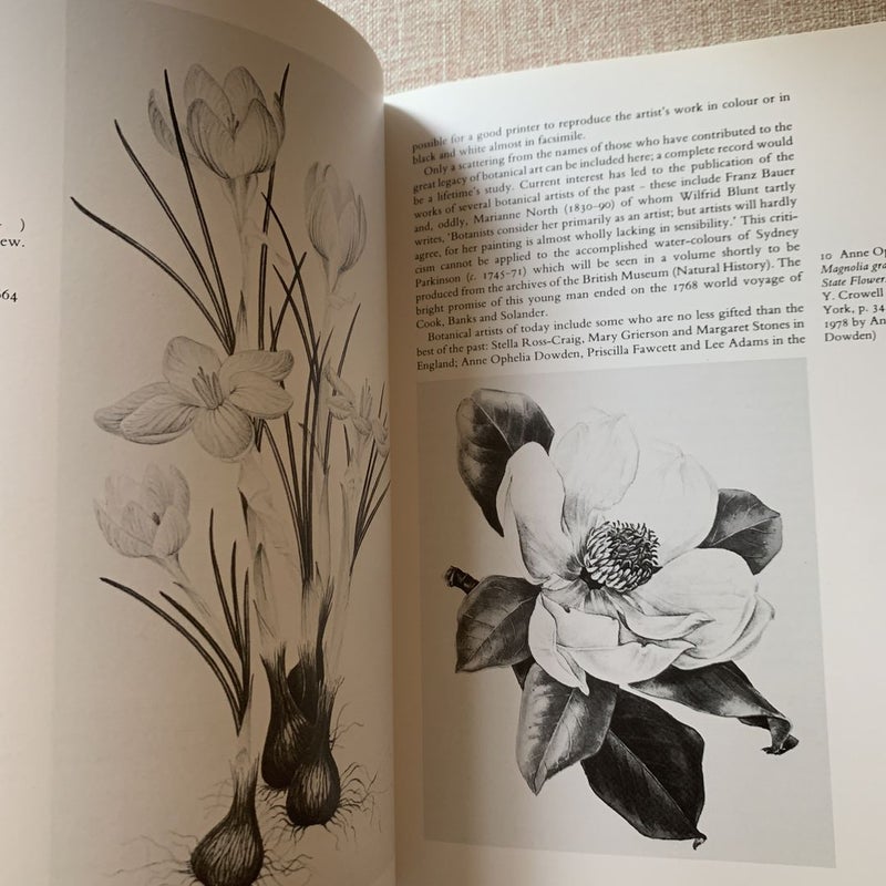 How to Draw Plants The Techniques of Botanical Illustration