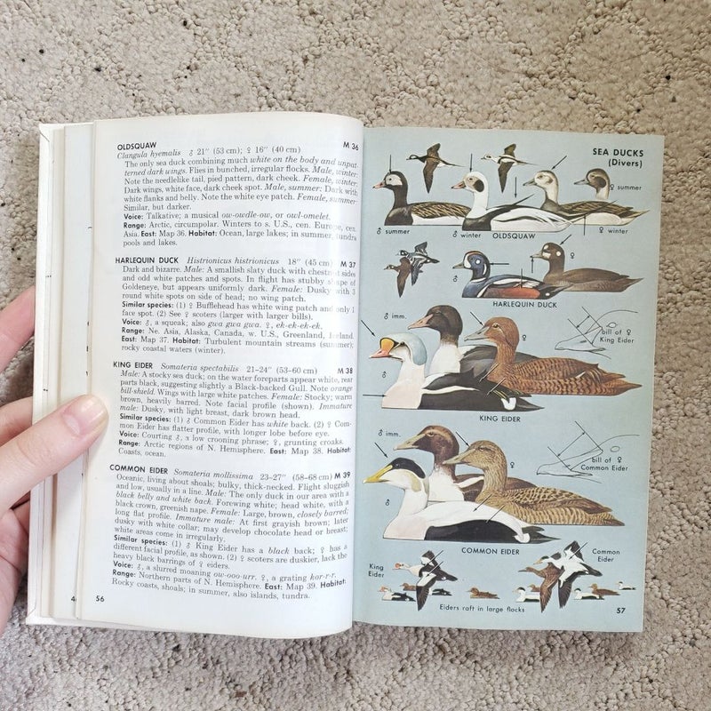 A Field Guide to the Birds East of the Rockies (This Edition, 1980)