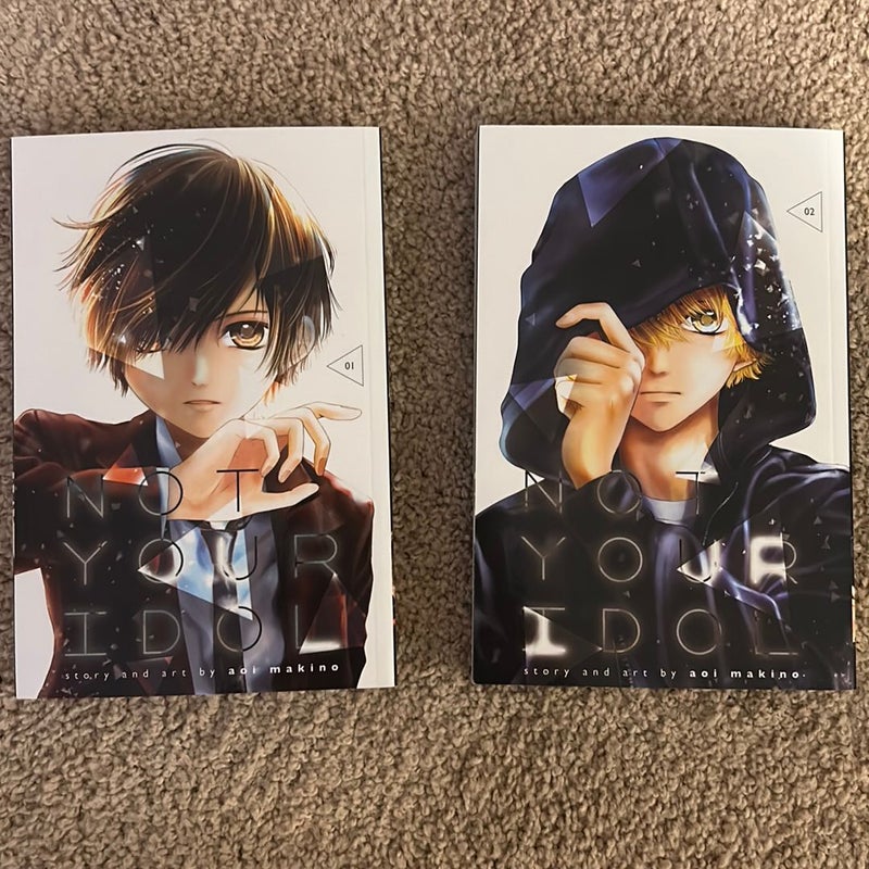 Not Your Idol, Vol. 1-2