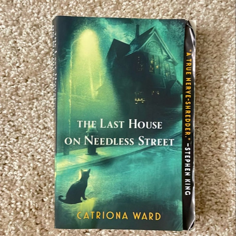The Last House on Needless Street
