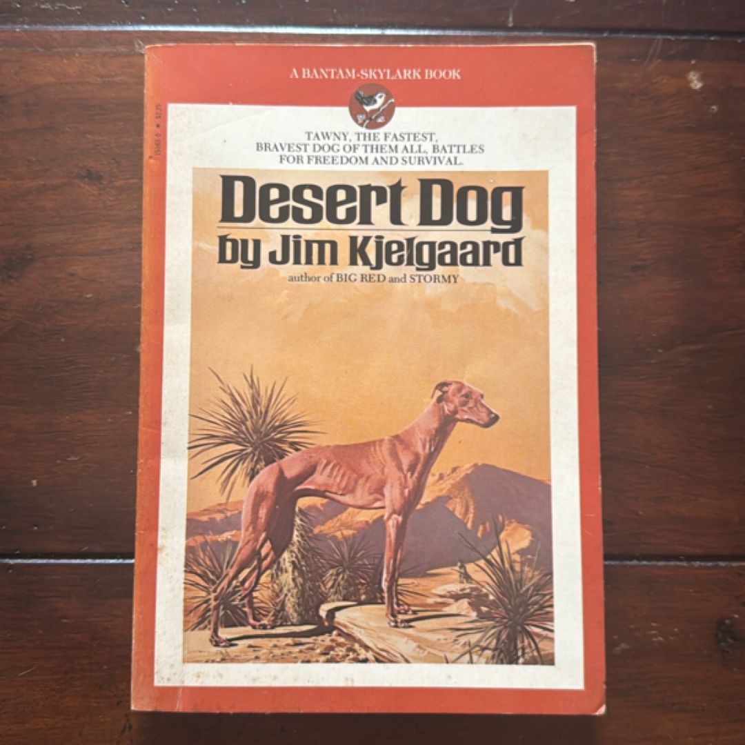 Desert Dog