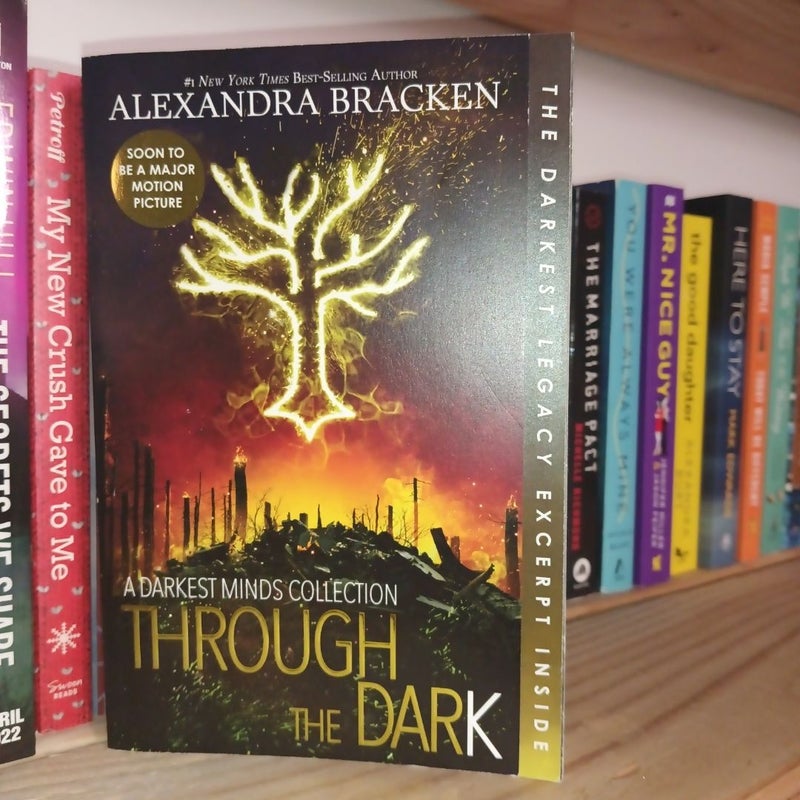 Through the Dark (Bonus Content) (a Darkest Minds Collection)