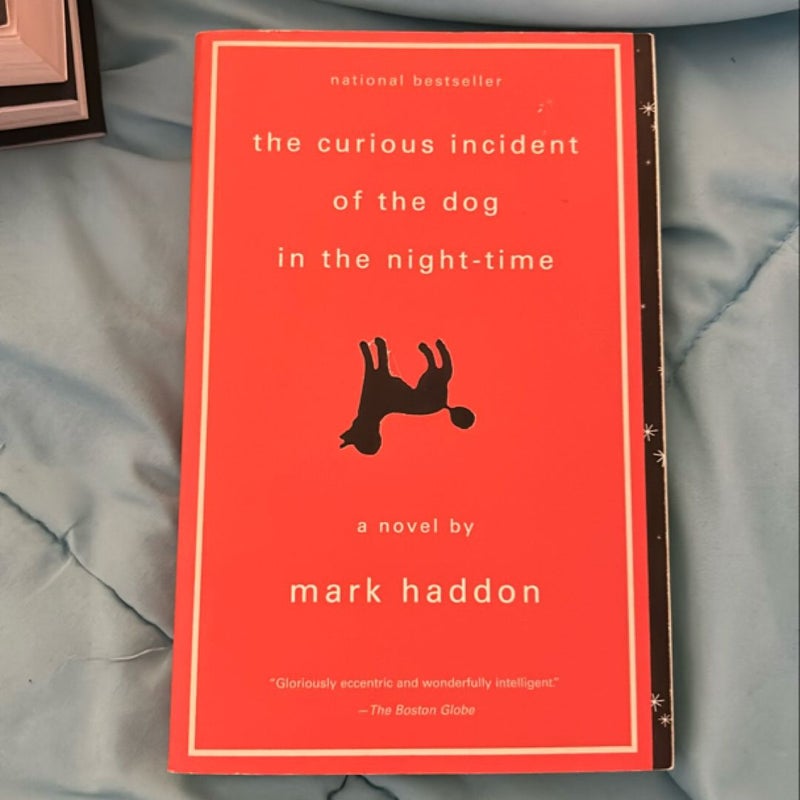 The Curious Incident of the Dog in the Night-Time