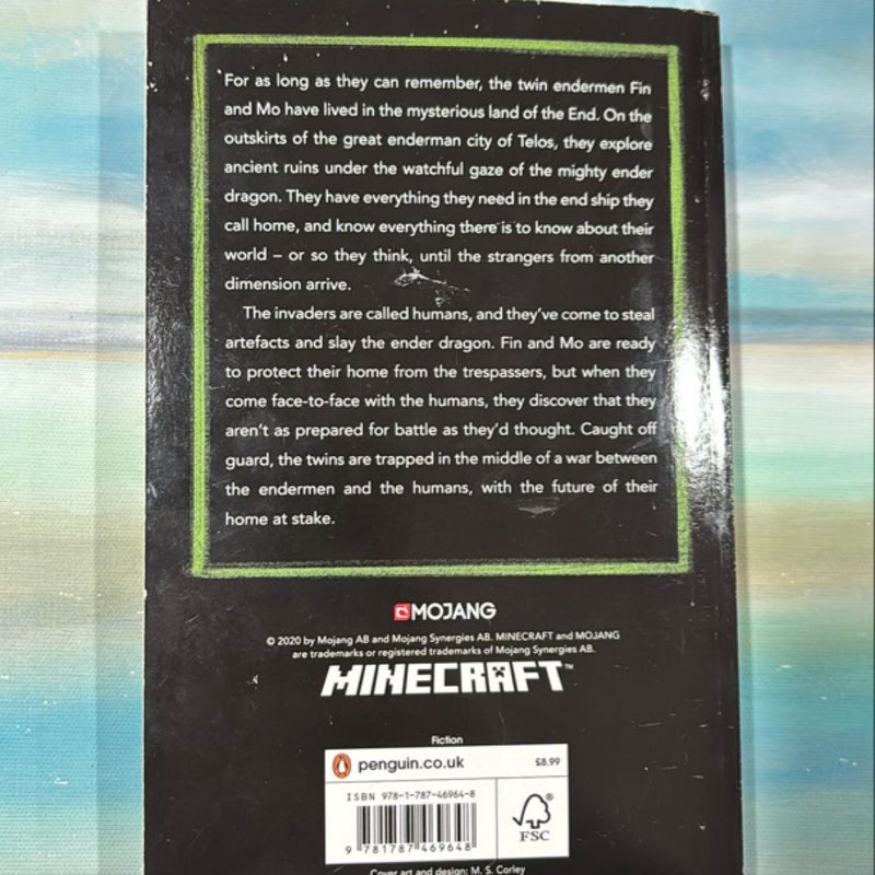 Minecraft The End