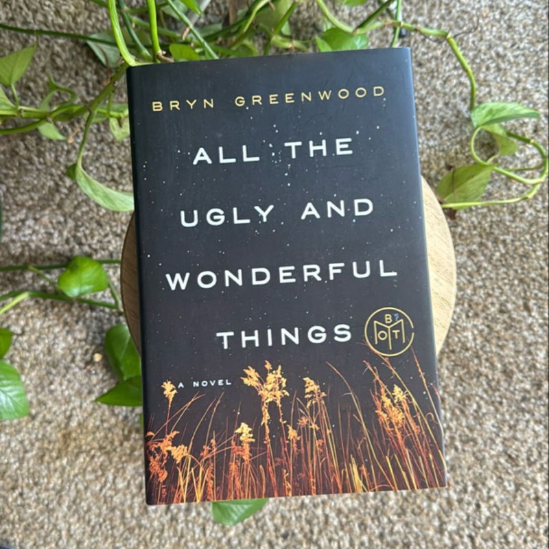 All the Ugly and Wonderful Things