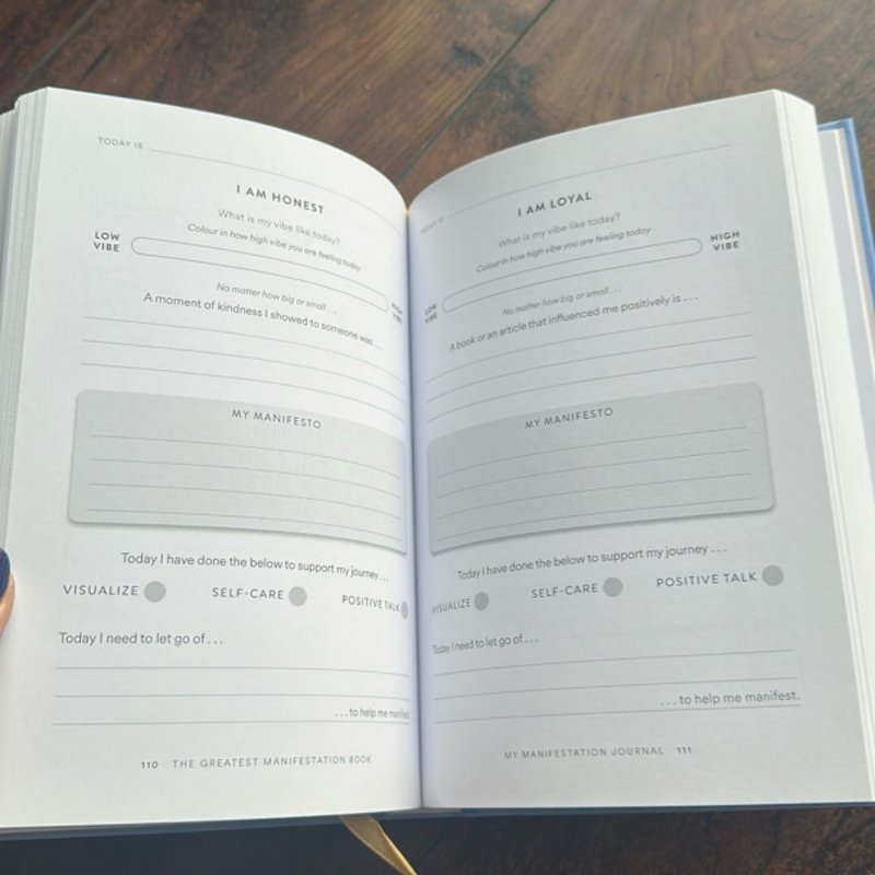 The Greatest Manifestation Book (Is the One Written by You)