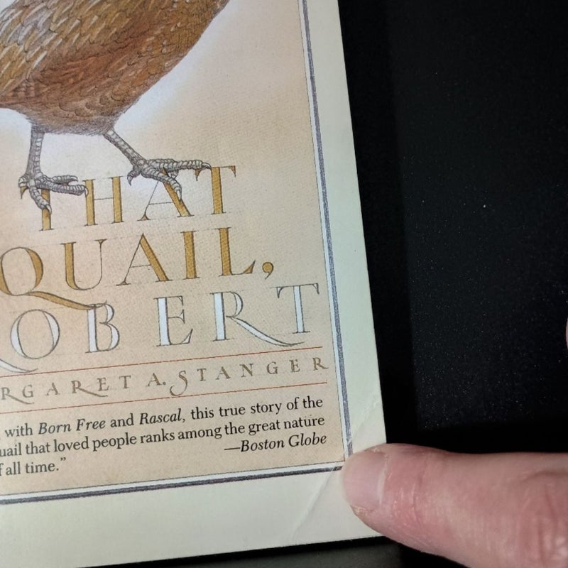 That Quail, Robert