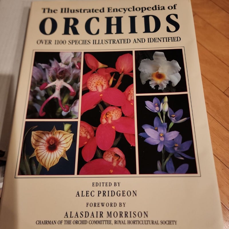 The Illustrated Encyclopedia of Orchids