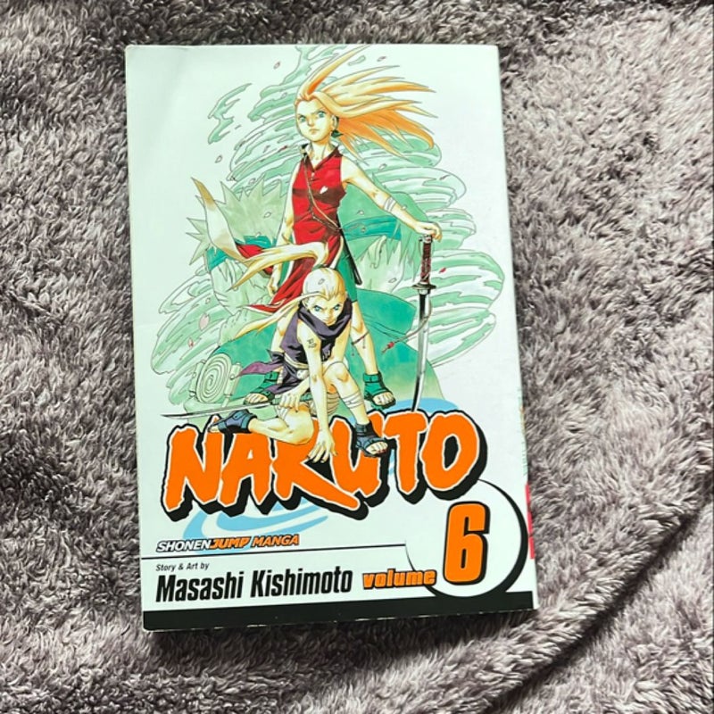 Naruto, Vol. 6