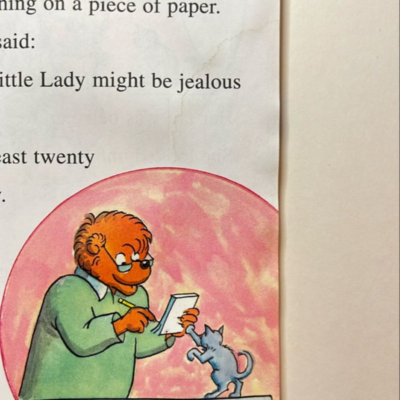 The Berenstain Bears' New Kitten