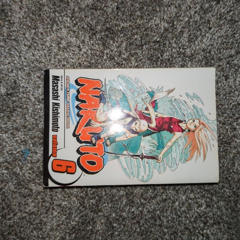 Naruto, Vol. 6