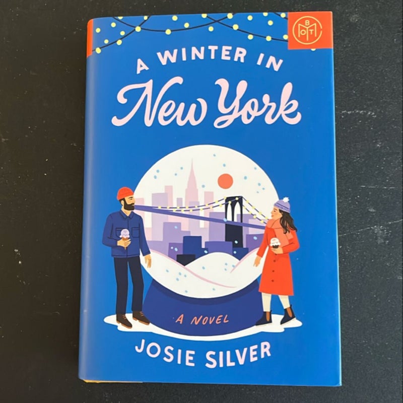 A Winter in New York